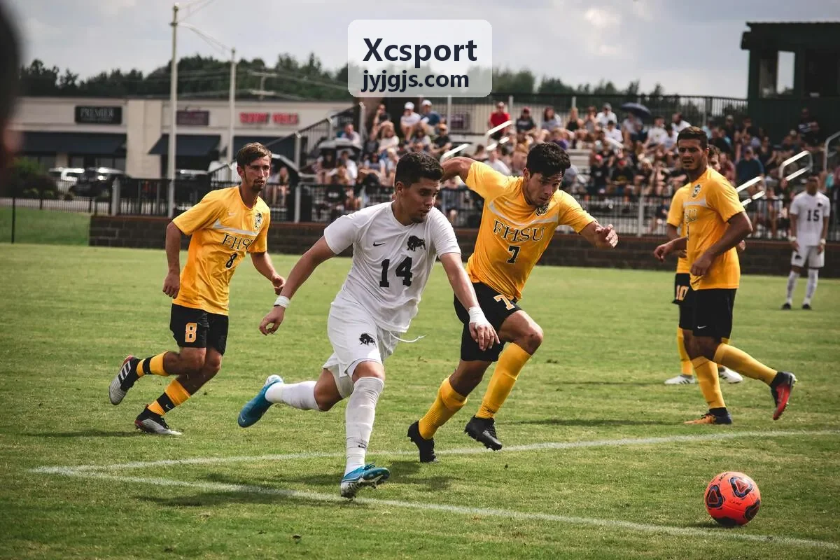 Xcsport 运动数据可视化背景